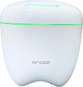 P.gingivalis Ⅰ型～Ⅴ型全て