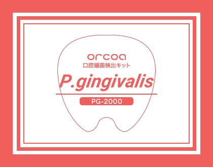 P.gingivalis Ⅱ型のみ